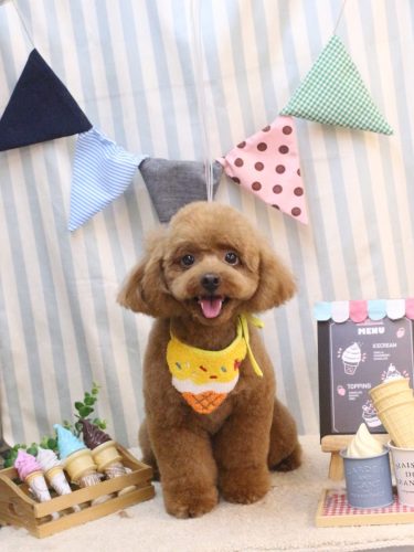 20250524ベルくん